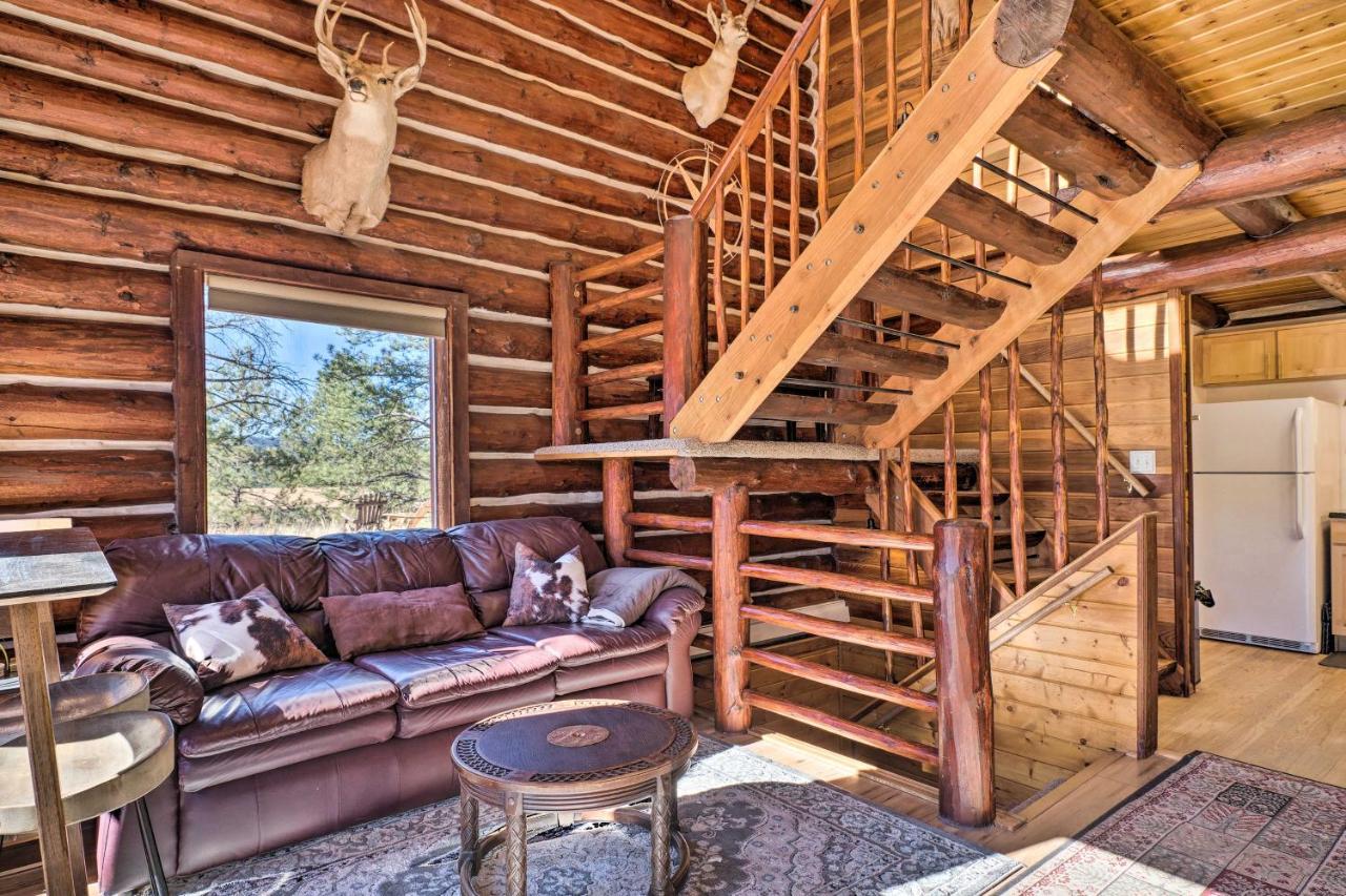 Classic Colorado Log Home With Mountain Views! 플로리선트 외부 사진